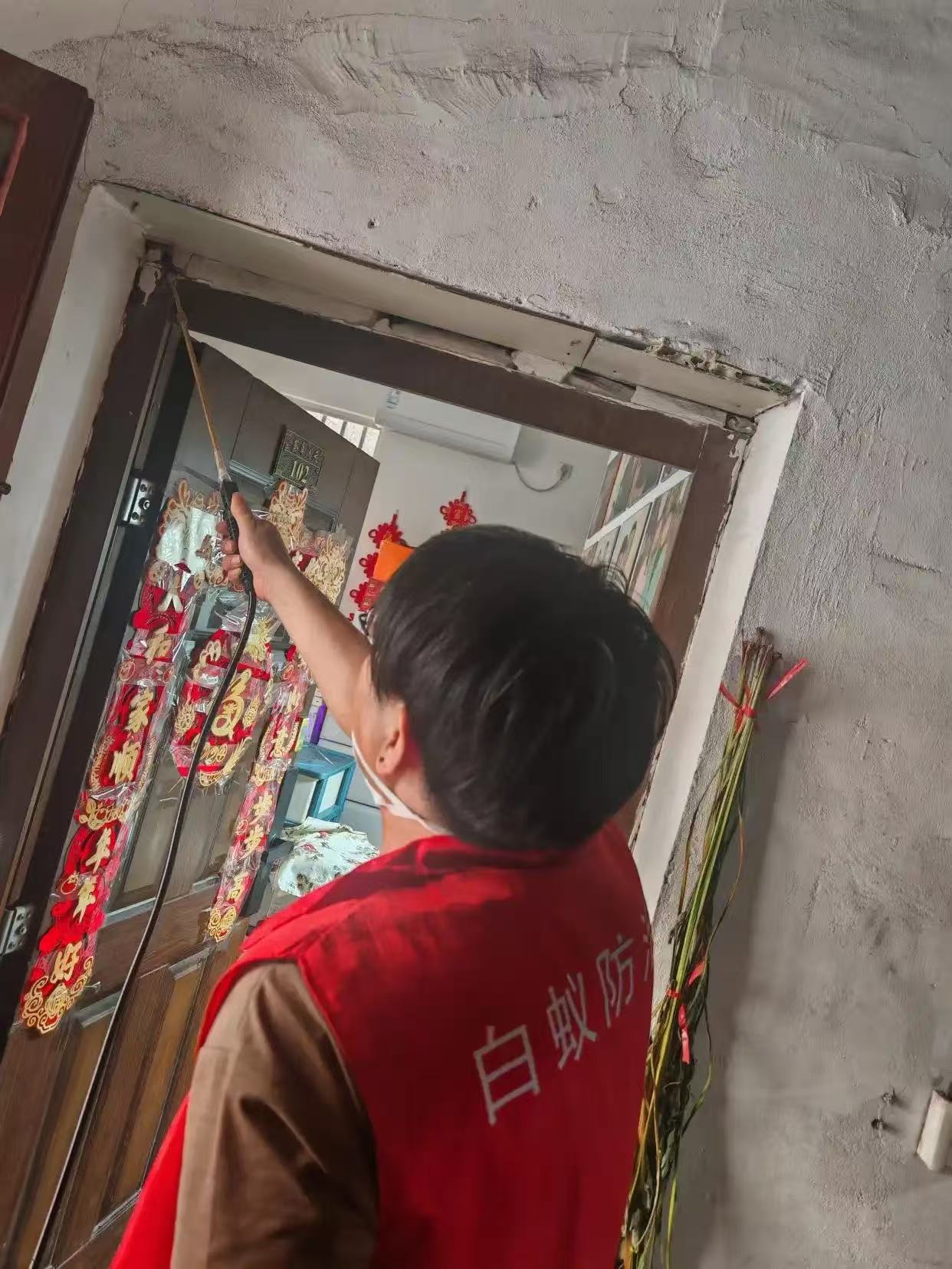 白蘑科白蚁伞：森林中的隐秘共生奇观